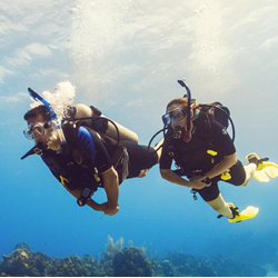 Open Water Dives For Certification
